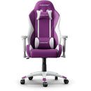 AKRacing - California Series XS Gaming Chair - Napa